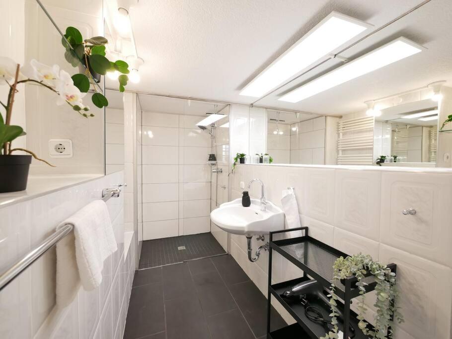 110 M2, Dachterrasse, Kueche, Zentral, Ruhige Lage Apartment Paderborn Luaran gambar