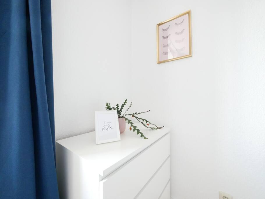 110 M2, Dachterrasse, Kueche, Zentral, Ruhige Lage Apartment Paderborn Luaran gambar